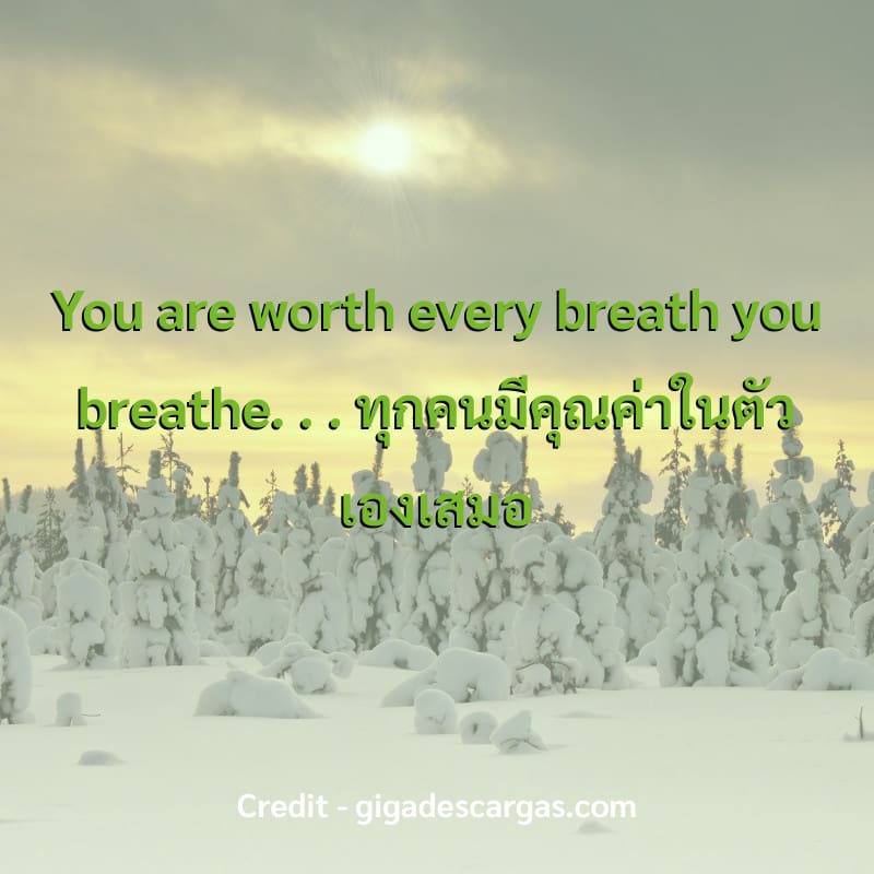 You are worth every breath  you  breathe.
.
.
ทุกคนมีคุณค่าในตัวเองเสมอ

